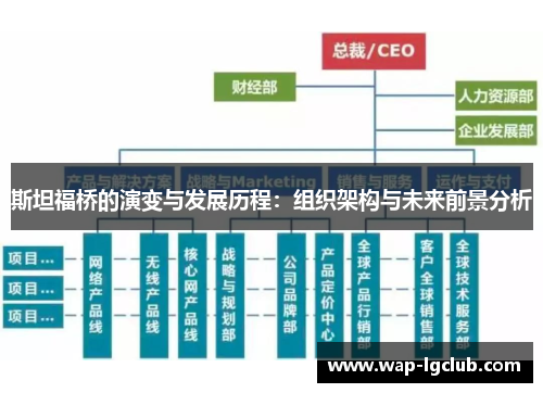 斯坦福桥的演变与发展历程：组织架构与未来前景分析