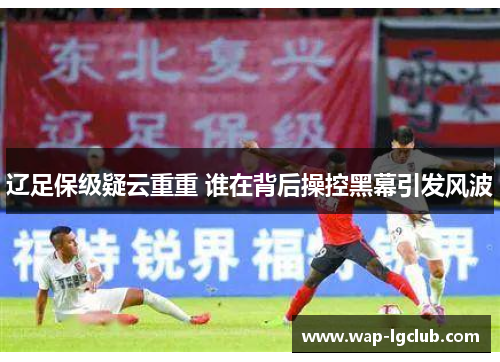 辽足保级疑云重重 谁在背后操控黑幕引发风波 辽足保级疑云重重 谁在背后操控黑幕引发风波