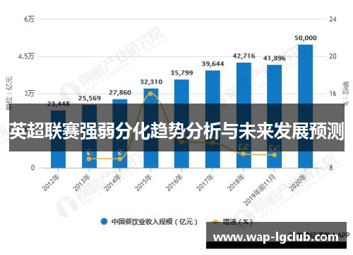 英超联赛强弱分化趋势分析与未来发展预测